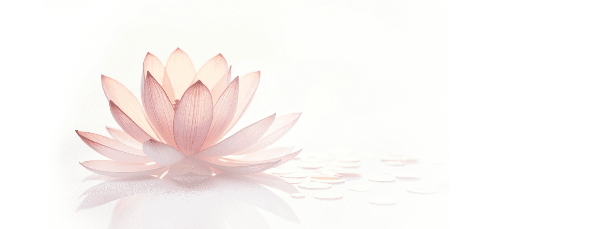 A pink lotus reflected on still water