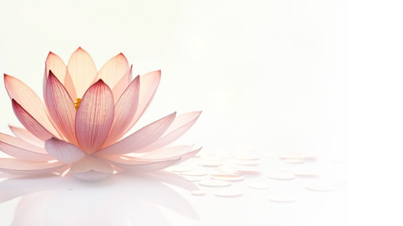 A soft pink lotus blooming on still water